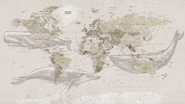 輸入壁紙 カスタム壁紙 PHOTOWALL / Whale Map - Beige (e330015)