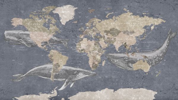 輸入壁紙 カスタム壁紙 PHOTOWALL / Whale Map - Blue (e330016)