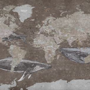 輸入壁紙 カスタム壁紙 PHOTOWALL / Whale Map - Brown (e330017)