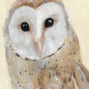 輸入壁紙 カスタム壁紙 PHOTOWALL / Common Barn Owl (e327494)