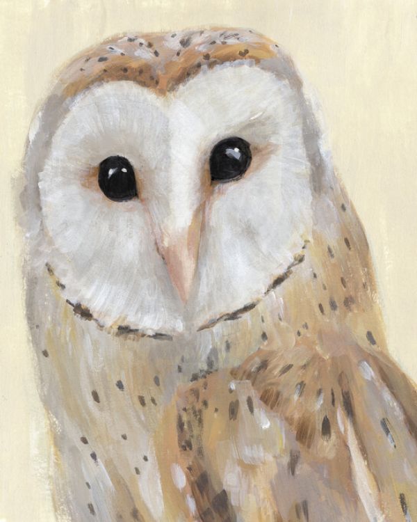 輸入壁紙 カスタム壁紙 PHOTOWALL / Common Barn Owl (e327494)