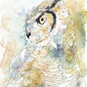 輸入壁紙 カスタム壁紙 PHOTOWALL / Owl Majestic (e327507)