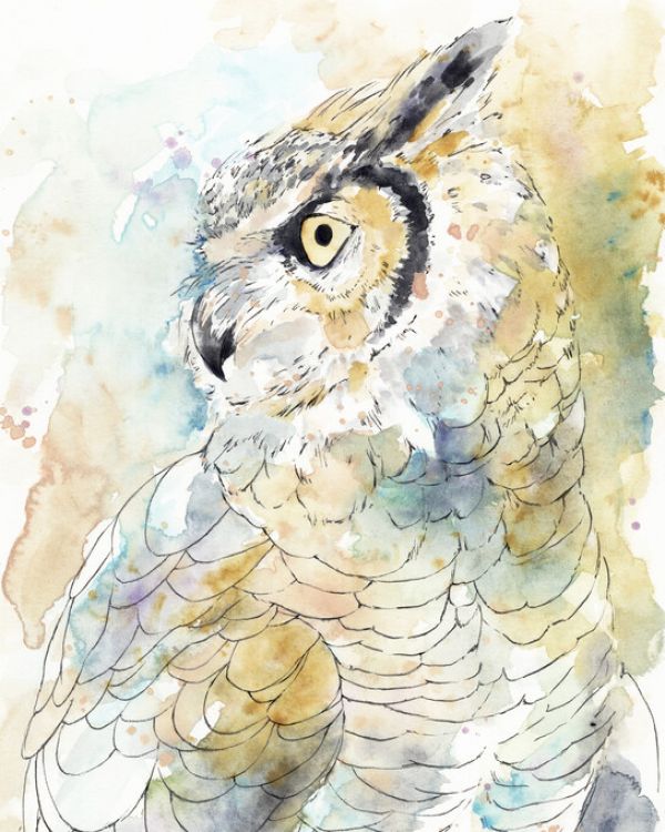 輸入壁紙 カスタム壁紙 PHOTOWALL / Owl Majestic (e327507)