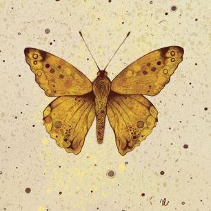 輸入壁紙 カスタム壁紙 PHOTOWALL / Butterfly (e330082)