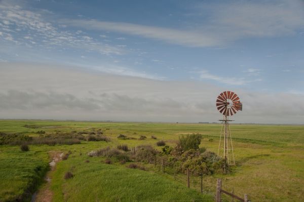 輸入壁紙 カスタム壁紙 PHOTOWALL / Steppe with Windmill (e331478)