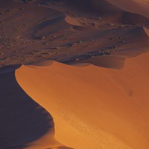 輸入壁紙 カスタム壁紙 PHOTOWALL / Erg Desert (e331486)