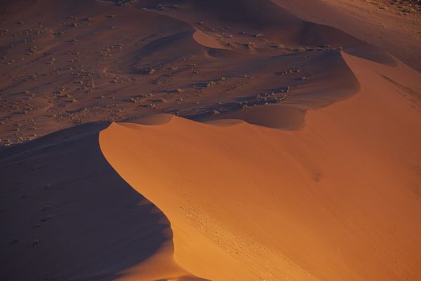 輸入壁紙 カスタム壁紙 PHOTOWALL / Erg Desert (e331486)