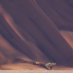 輸入壁紙 カスタム壁紙 PHOTOWALL / Mountain Desert (e331489)