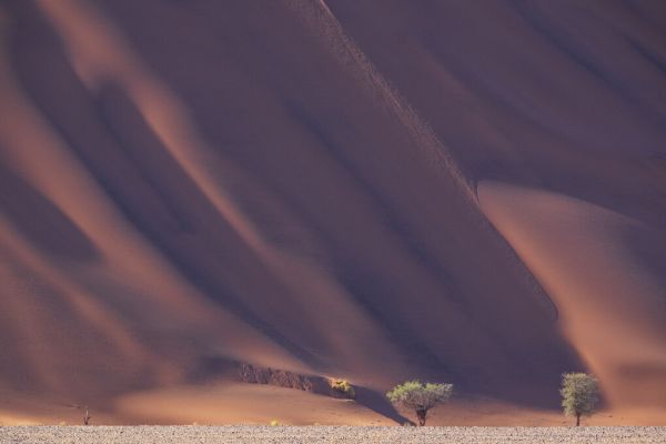 輸入壁紙 カスタム壁紙 PHOTOWALL / Mountain Desert (e331489)