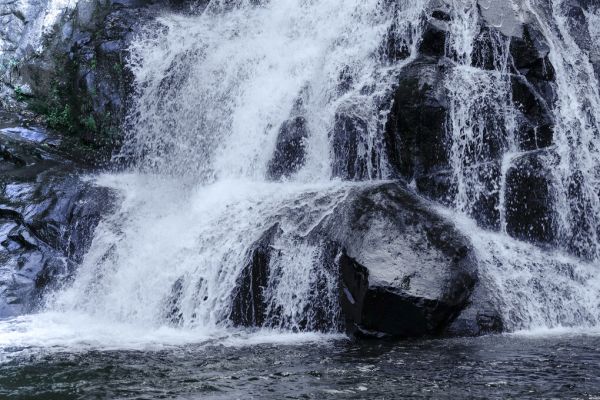輸入壁紙 カスタム壁紙 PHOTOWALL / Waterfall (e331510)