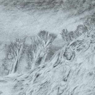 輸入壁紙 カスタム壁紙 PHOTOWALL / Sketch of Trees (e331556)