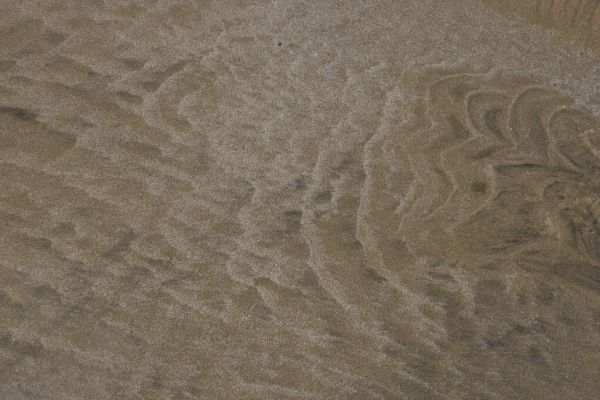 輸入壁紙 カスタム壁紙 PHOTOWALL / Sand (e331558)