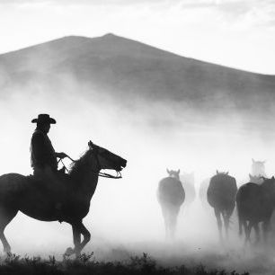 輸入壁紙 カスタム壁紙 PHOTOWALL / Rider Dusty Herd (e331177)