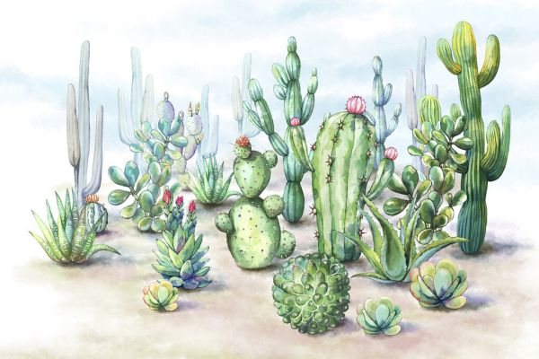 輸入壁紙 カスタム壁紙 PHOTOWALL / Cactus Landscape (e331068)