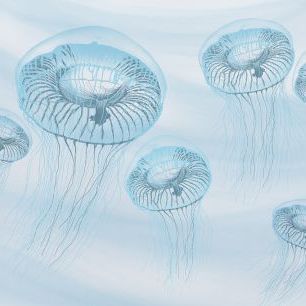 輸入壁紙 カスタム壁紙 PHOTOWALL / Jellyfishes (e331091)