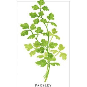 輸入壁紙 カスタム壁紙 PHOTOWALL / Parsley III (e331212)