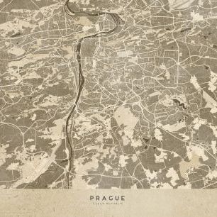 輸入壁紙 カスタム壁紙 PHOTOWALL / Prague Map II (e331324)