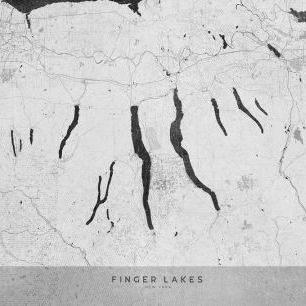 輸入壁紙 カスタム壁紙 PHOTOWALL / Finger Lakes Map (e331333)