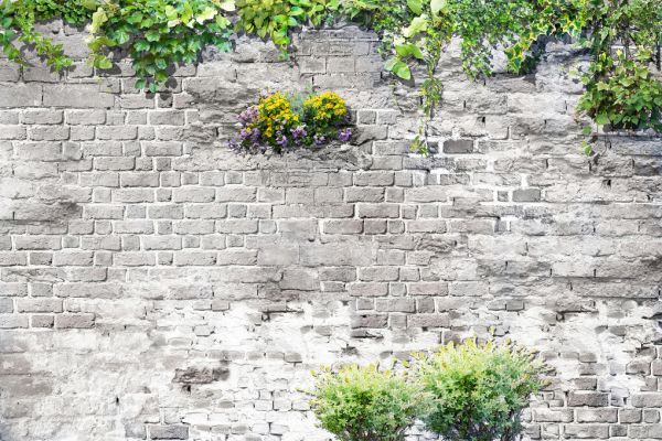 輸入壁紙 カスタム壁紙 PHOTOWALL / Lush Brick Wall II (e333022)