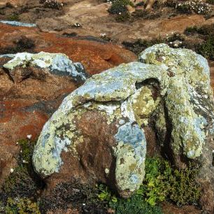 輸入壁紙 カスタム壁紙 PHOTOWALL / Lichen Rockscape (e333782)