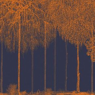 輸入壁紙 カスタム壁紙 PHOTOWALL / Trees Cascade - Harvest (e333872)