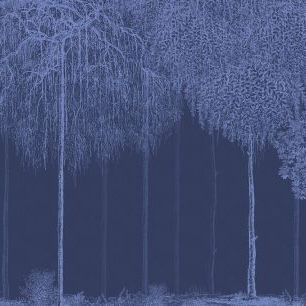 輸入壁紙 カスタム壁紙 PHOTOWALL / Trees Cascade - Lazuli (e333875)