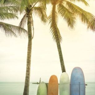 輸入壁紙 カスタム壁紙 PHOTOWALL / Four Surfboards (e333687)