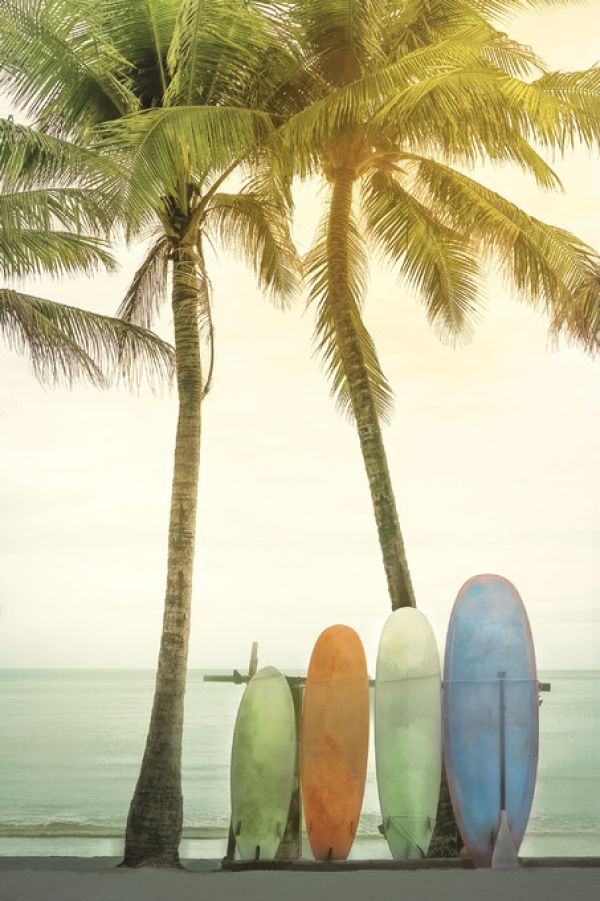 輸入壁紙 カスタム壁紙 PHOTOWALL / Four Surfboards (e333687)