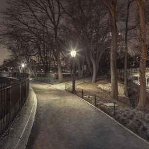 輸入壁紙 カスタム壁紙 PHOTOWALL / Central Park in Evening New York (e334047)