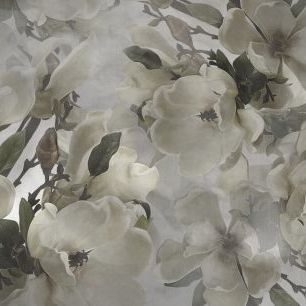 輸入壁紙 カスタム壁紙 PHOTOWALL / Soft Striped Magnolias (e334605)