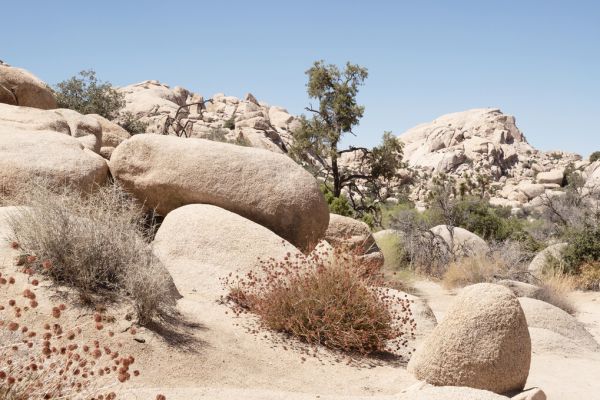 輸入壁紙 カスタム壁紙 PHOTOWALL / Boulders Rock (e334109)