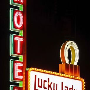 輸入壁紙 カスタム壁紙 PHOTOWALL / Motel Lucky Lady (e334209)