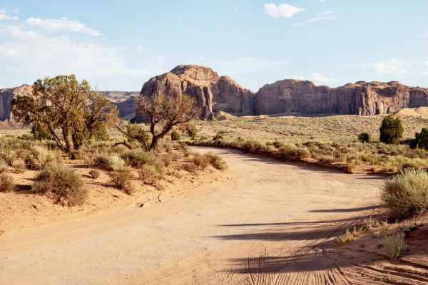 輸入壁紙 カスタム壁紙 PHOTOWALL / Utah Desert Path (e334278)