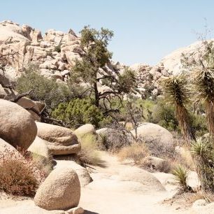 輸入壁紙 カスタム壁紙 PHOTOWALL / Boulders Desert (e334291)