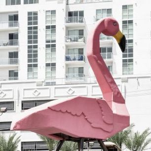 輸入壁紙 カスタム壁紙 PHOTOWALL / Pink Flamingo (e334360)