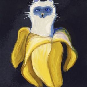 輸入壁紙 カスタム壁紙 PHOTOWALL / Banana Cat in the Dark (e335547)