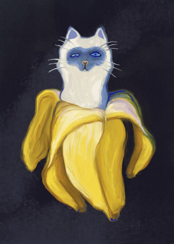 輸入壁紙 カスタム壁紙 PHOTOWALL / Banana Cat in the Dark (e335547)
