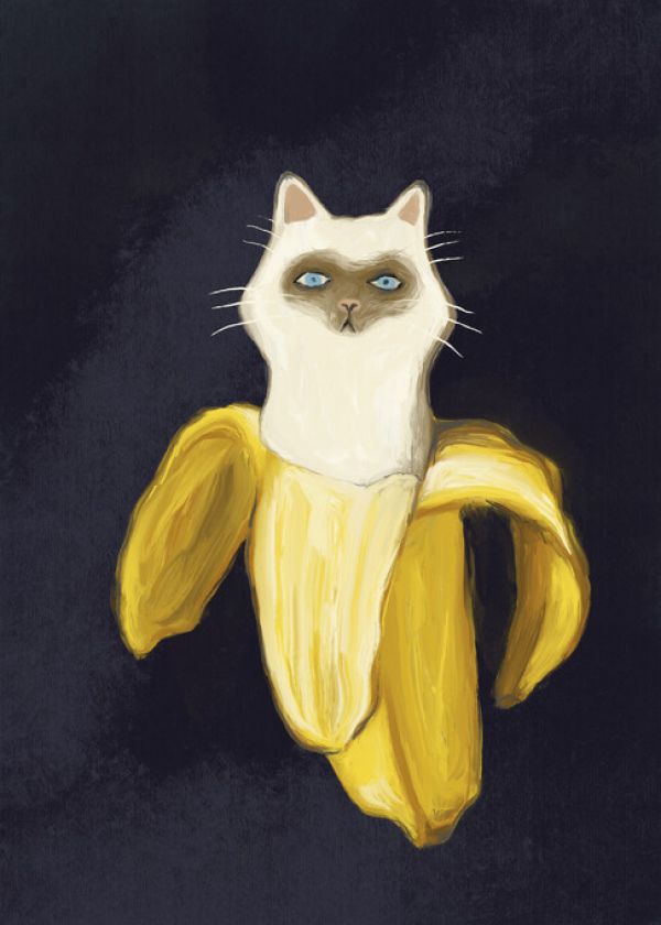 輸入壁紙 カスタム壁紙 PHOTOWALL / Banana Kitten in the Dark (e335549)