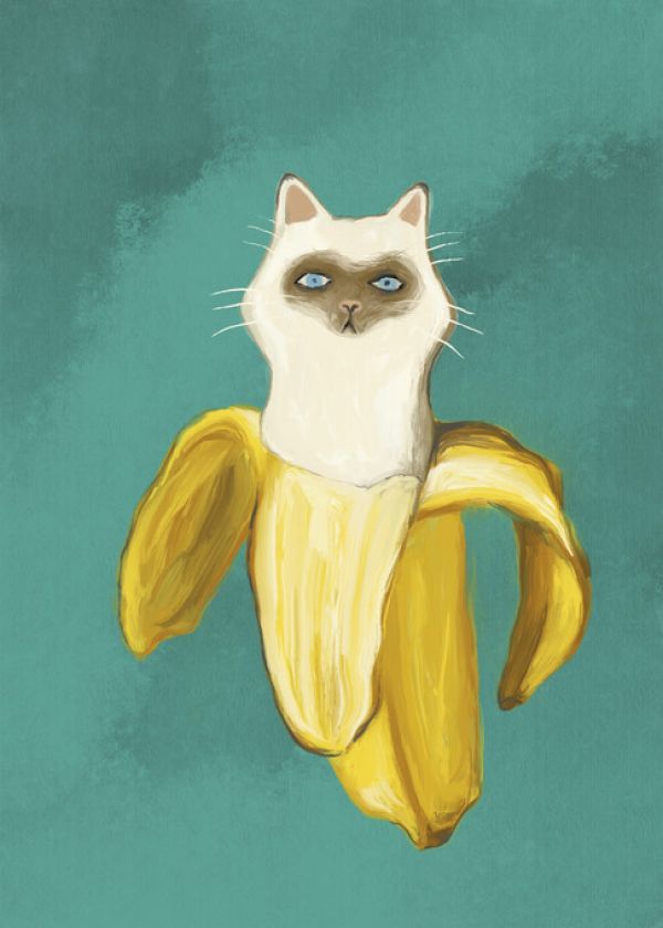 輸入壁紙 カスタム壁紙 PHOTOWALL / Banana Kitten (e335550)