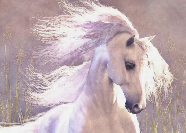 輸入壁紙 カスタム壁紙 PHOTOWALL / White Horse (e333273)