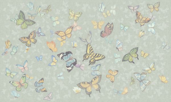 輸入壁紙 カスタム壁紙 PHOTOWALL / Butterfly Wings - Green (e335214)