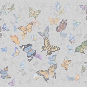 輸入壁紙 カスタム壁紙 PHOTOWALL / Butterfly Wings - Grey (e335215)