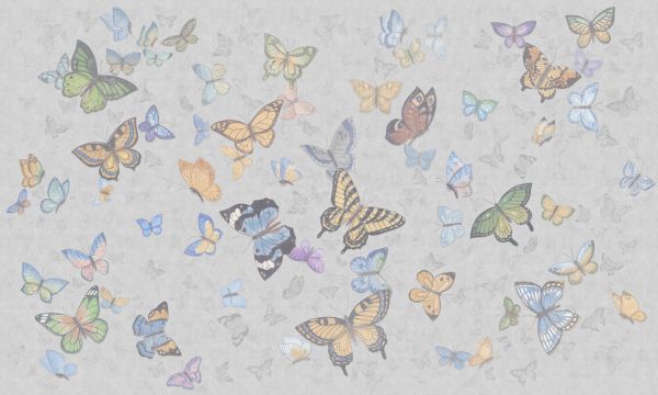 輸入壁紙 カスタム壁紙 PHOTOWALL / Butterfly Wings - Grey (e335215)