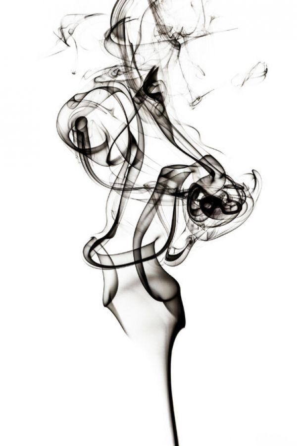 輸入壁紙 カスタム壁紙 PHOTOWALL / Abstract Black Smoke - Tulip Dream (e335715)