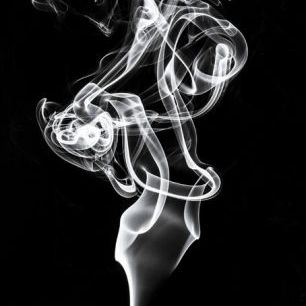 輸入壁紙 カスタム壁紙 PHOTOWALL / Abstract White Smoke - Tulip Dream (e335726)