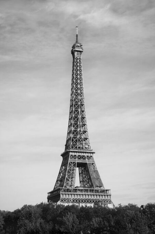 輸入壁紙 カスタム壁紙 PHOTOWALL / Eiffel Tower Behind Trees (e336108)
