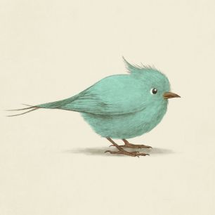 輸入壁紙 カスタム壁紙 PHOTOWALL / Blue Bird (e330737)