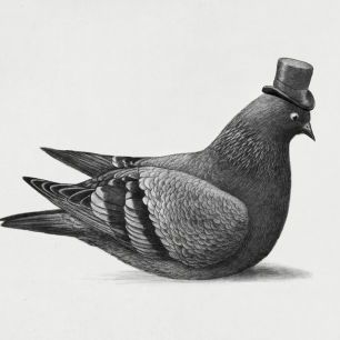 輸入壁紙 カスタム壁紙 PHOTOWALL / Dapper Pigeon (e330750)