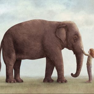 輸入壁紙 カスタム壁紙 PHOTOWALL / One Amazing Elephant (e330771)
