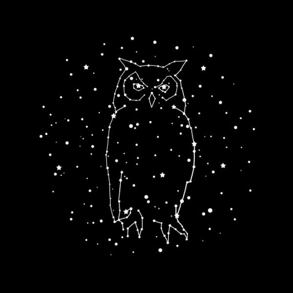 輸入壁紙 カスタム壁紙 PHOTOWALL / Owl Constellation (e330772)